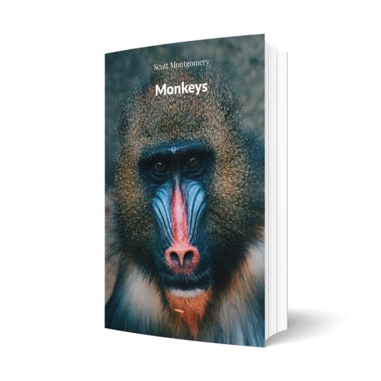 Monkeys: The Recipe Book